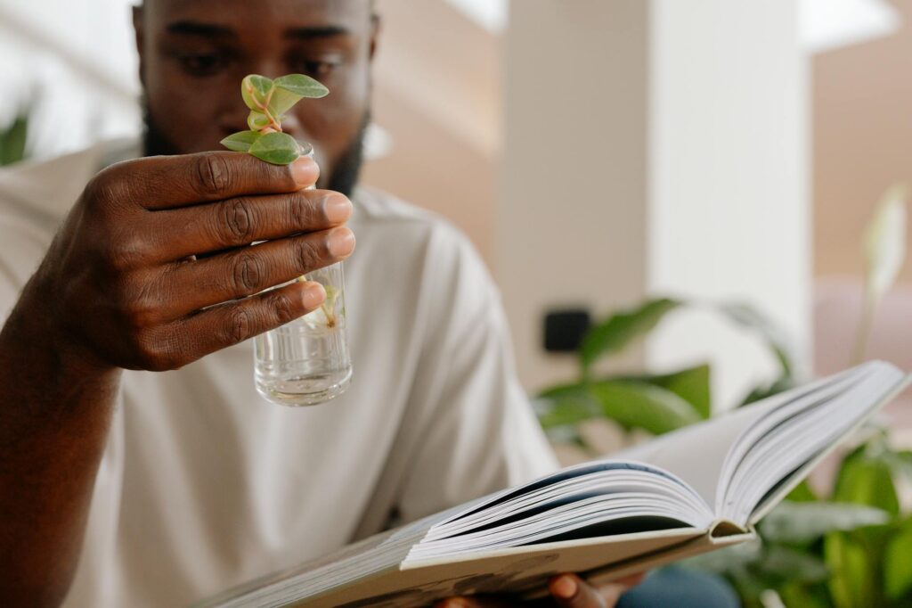 knowledge growth success