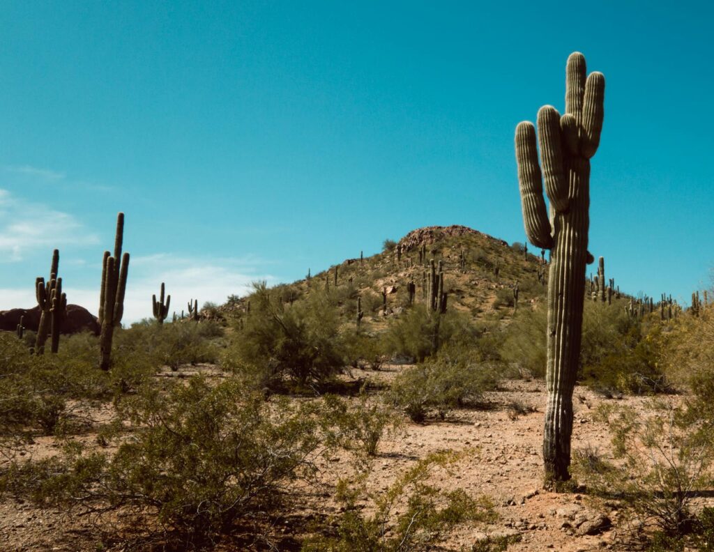 Arizona desert landscape time