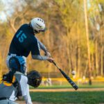 baseball stats