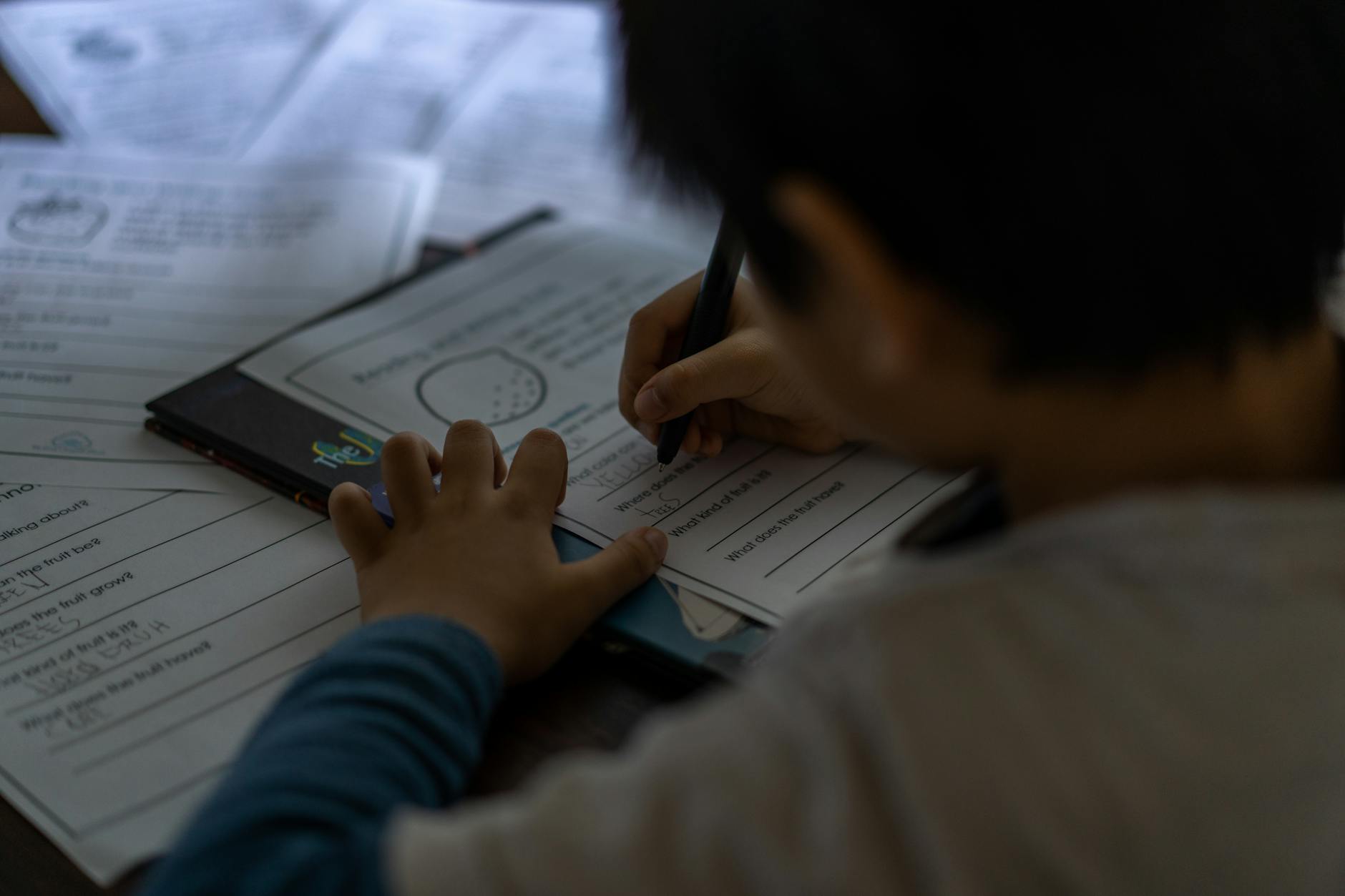 Primary School Homework Help Websites That Actually Work: A Miami Parent’s Guide