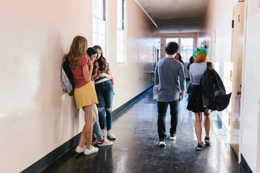 high school students project