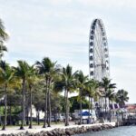 Miami virtual school student