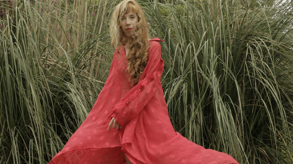 stevie nicks landslide