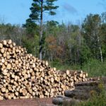 student logging into school portal