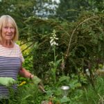 alison titchmarsh portrait