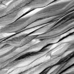 asbestos fiber analysis microscope