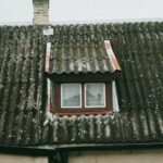 asbestos fiber analysis