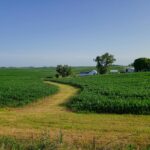 central Iowa skyline