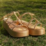 erome platform interface