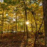 Greensboro North Carolina skyline