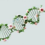 human genome DNA map