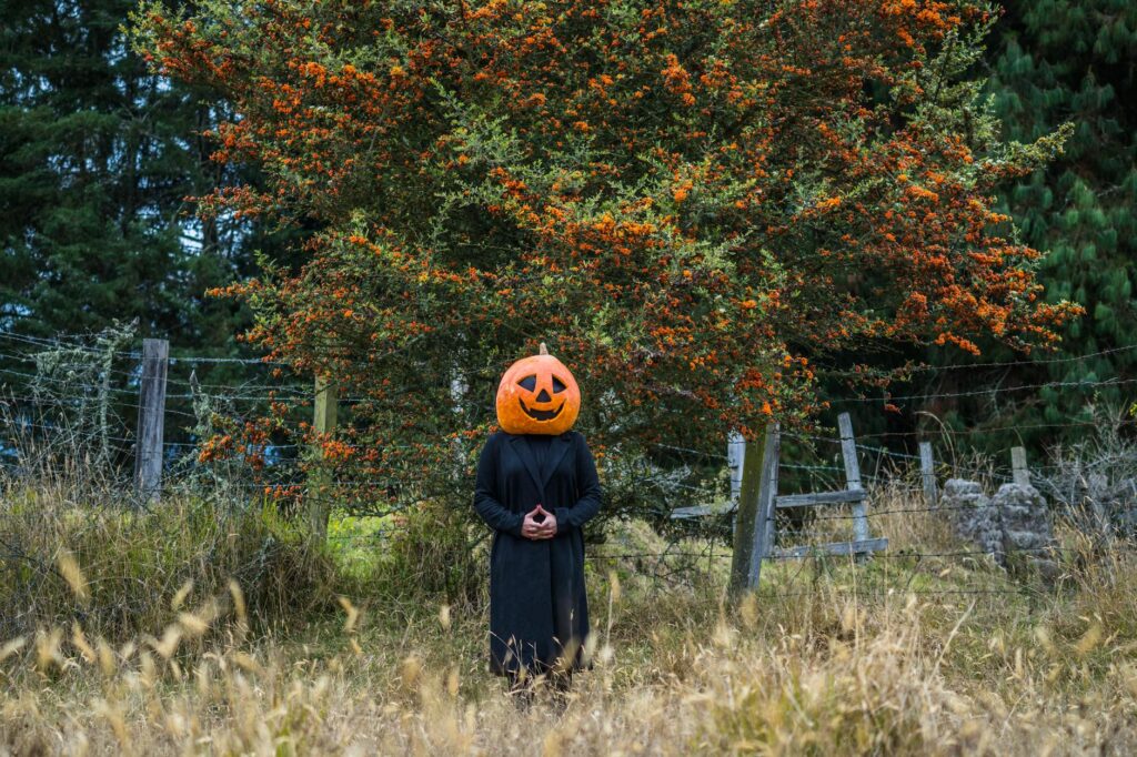 Jack Catterall boxing