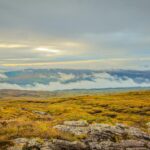 Kerry Katona smiling
