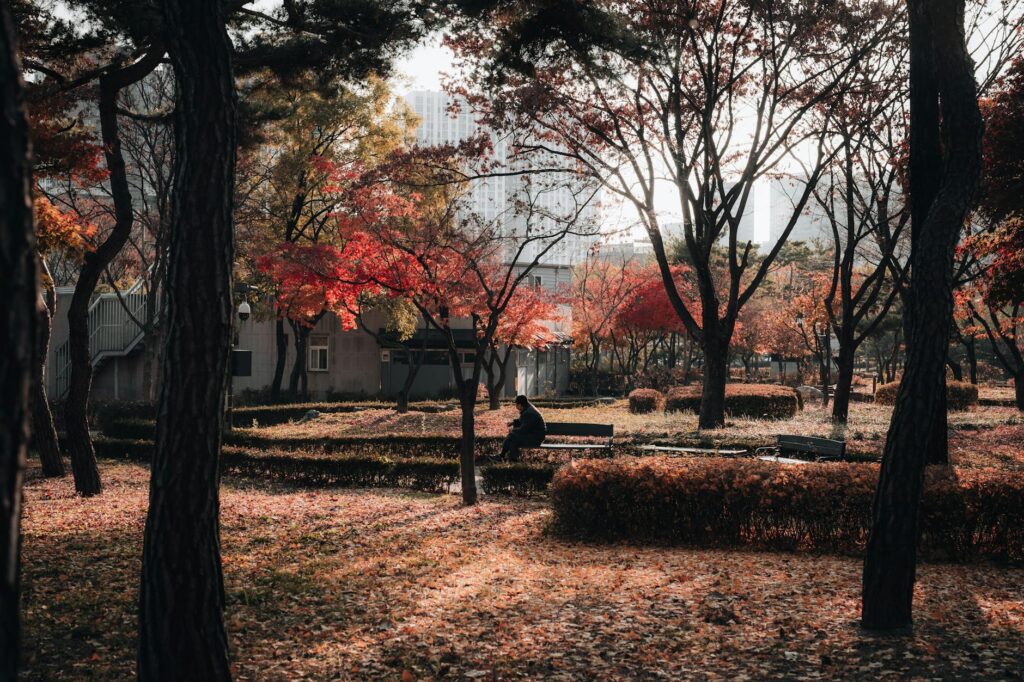 MLB autumn classic game