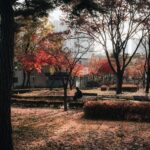 MLB autumn classic game