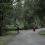 CJ Monsoon landscape