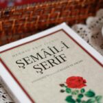 Rome Italy Colosseum student view