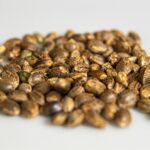 seed pack garden