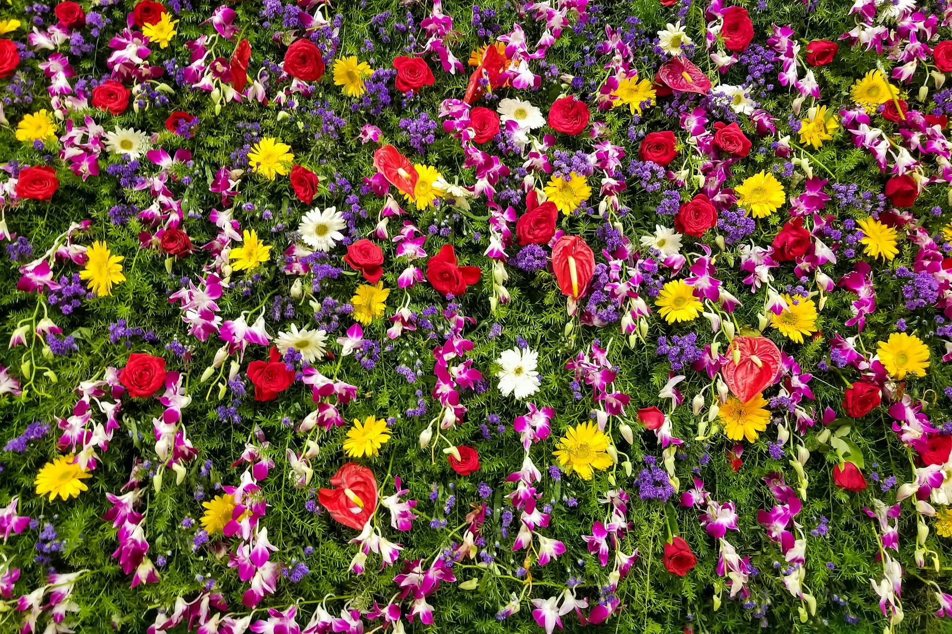 Beverley Allen: The Artist Behind Britain’s Favourite Florals